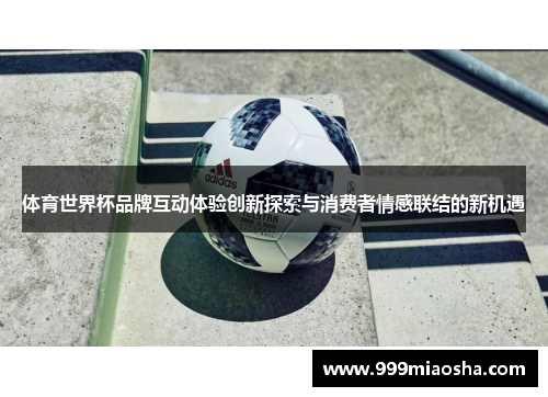 体育世界杯品牌互动体验创新探索与消费者情感联结的新机遇