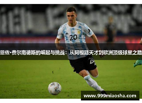 恩佐·费尔南德斯的崛起与挑战：从阿根廷天才到欧洲顶级球星之路