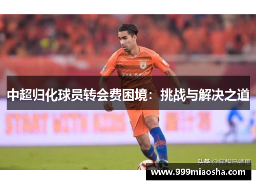 中超归化球员转会费困境:挑战与解决之道 中超归化球员转会费困境:挑战与解决之道