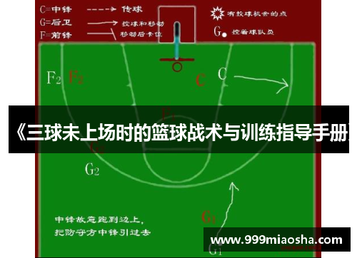 《三球未上场时的篮球战术与训练指导手册》