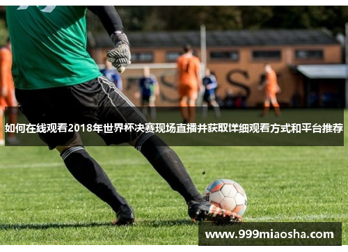如何在线观看2018年世界杯决赛现场直播并获取详细观看方式和平台推荐
