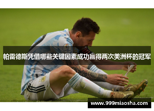帕雷德斯凭借哪些关键因素成功赢得两次美洲杯的冠军 帕雷德斯凭借哪些关键因素成功赢得两次美洲杯的冠军