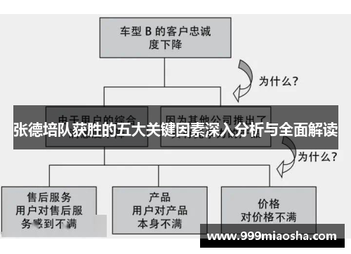 张德培队获胜的五大关键因素深入分析与全面解读